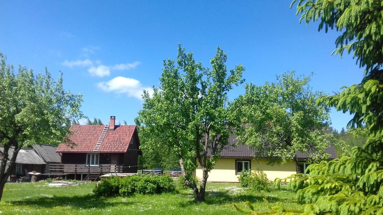 Загородные дома Raja Country House Koldamäe-27